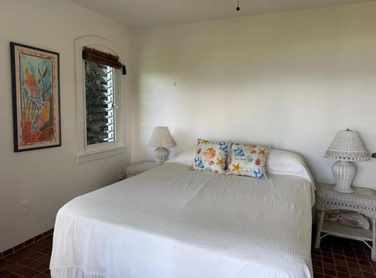 Blue Pearl Villa In St John Usvi Coral Bay Ngoại thất bức ảnh